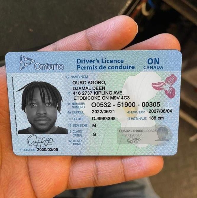 Buy Canadian Driver's License online