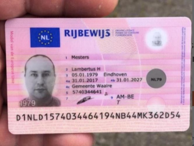 Buy Dutch Driver's License online