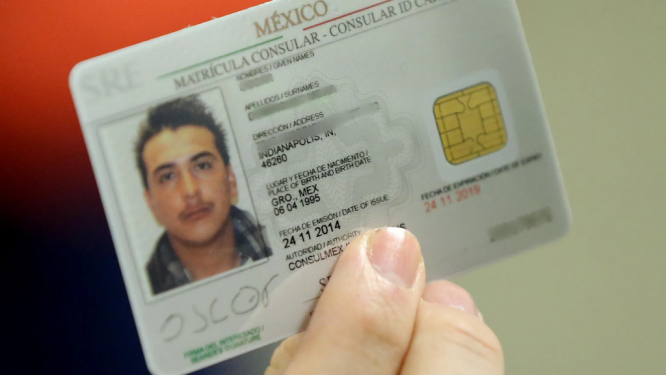 Buy Mexican ID Cards online